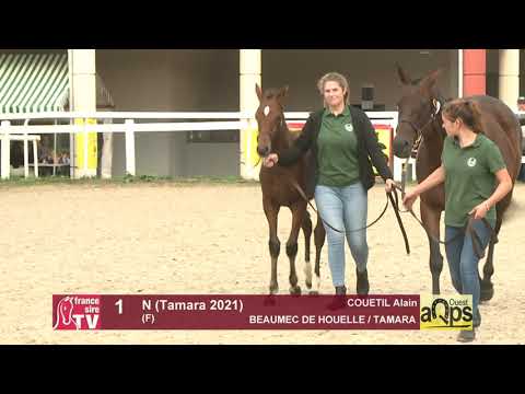 Show AQPS Ouest 2021 - Lot 1