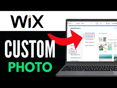 How to Add a Custom Photo Gallery to Your Wix Website 2025 (Detailed Guide)