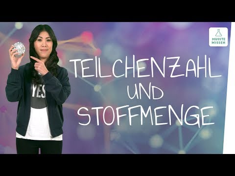 What are particle number and amount of substance? I must-know chemistry