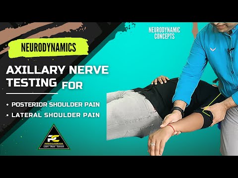 Conceptual Framework of Neurodynamics Treatment Approach The 3 Part System