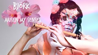 Björk - Arisen my Senses (Spanish//English)