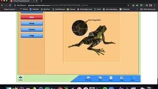 Frog Dissection Tutorial