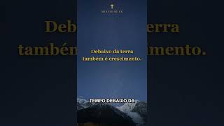Deus não te esqueceu no seu tempo de espera