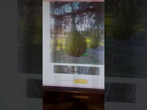 Orando por Argentina, Catamarca, Capayán 🌍🌎🙏✨