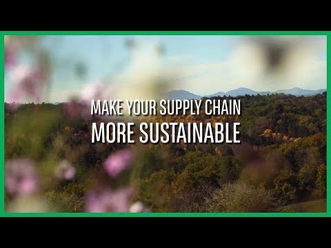 Make your supply chain more sustainable