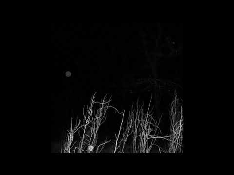 free | xxxtentacion x scarlxrd  x prxjek x gizmo x hard trap metal  - asunder (prod branwen)