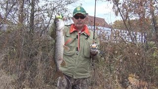 Major craft dodger dsg 702 ml