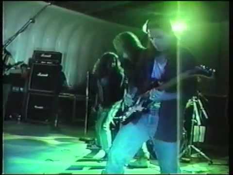 The Lamb - Damn Pigeon