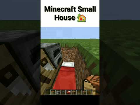 EPIC Minecraft Small House Build #shorts