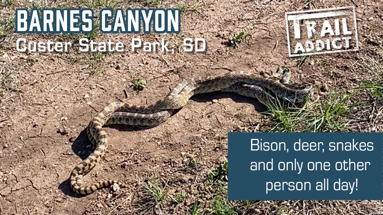 Barnes Canyon Trail - Custer State Park, SD