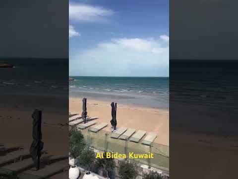 kuwait al bidea #kuwait #shorts #song #sharukhkhan