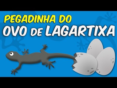 PEGADINHA do ovo de lagartixa