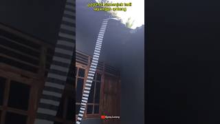 Download lagu Janggan miniature kites are going crazy because of this #kites #kites mp3 Download lagu Janggan miniature kites are going crazy because of this #kites #kites mp3