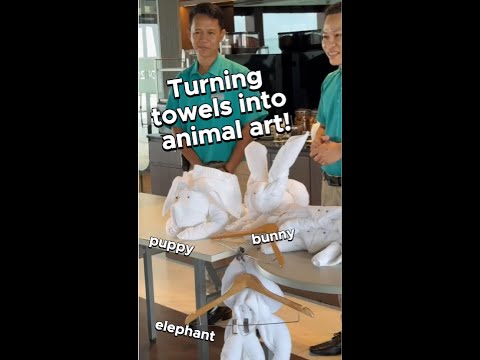 Thumbnail for Discover onboard fun and turn towels into stunning animal art! 🐘✨ #cruise #travel #luxurytravel