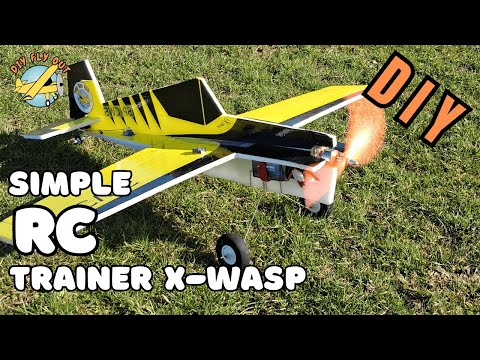 Building This 3D RC Plane Was a Risk… But Totally Worth It!