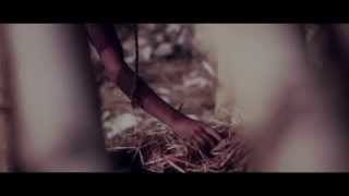Official Trailer of COLOURKITE