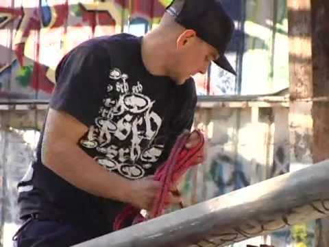 Finkel's Friday Film Droppings #5 - A Day With Shane Allen