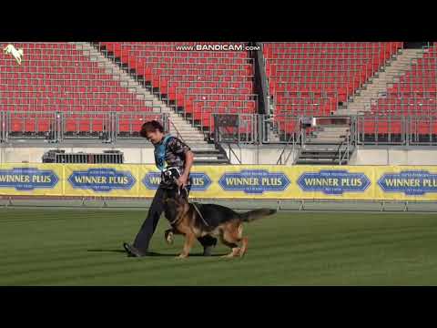 1148 Bruno v  Wa-Bo - TSB BSZS-2023