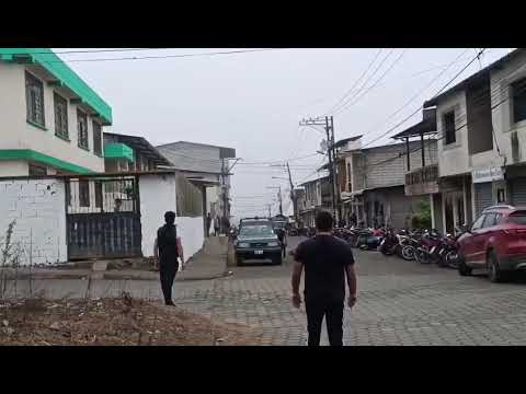 En Bolívar, un toro se escapó de sus dueños y provocó varios incidentes en el cantón Caluma.