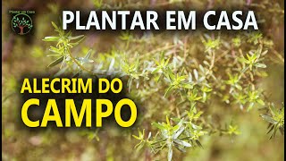 Miniatura do vídeo