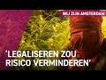 Hoe is het om wiet te telen met het achterdeurbeleid?