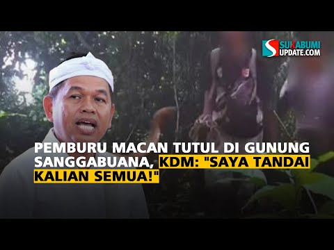 Pemburu Macan Tutul di Gunung Sanggabuana, KDM: "Saya Tandai Kalian Semua!"