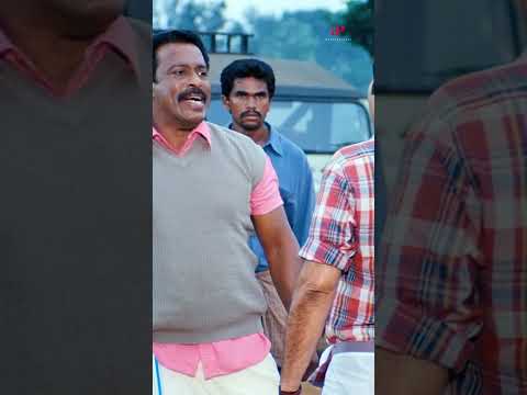 Watch 👆 'Thappana' Super Scenes! #thappana #shorts #mammootty #charmykaur #muraligopi