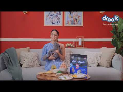 Drools Cat Adult Daily Nutrition