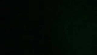 The Hampster Dance (the caffinated remix!!)