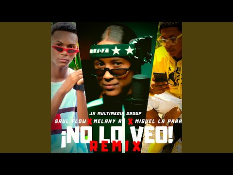 No Lo Veo (Remix)