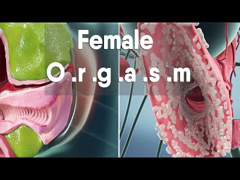 The Fascinating Science of Female Orgasm