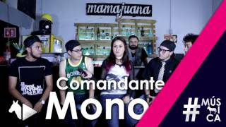 Comandante Mono; Entrevista en MamaJuana