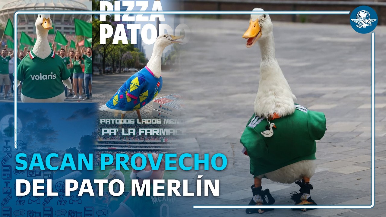 ¿Merlín será de los Cowboys de Dallas? Equipos internacionales se suben a la fiebre del pato