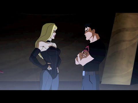 Young Justice Gets Schooled by Black Canary