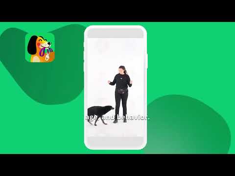 Dogo — Puppy and Dog Training