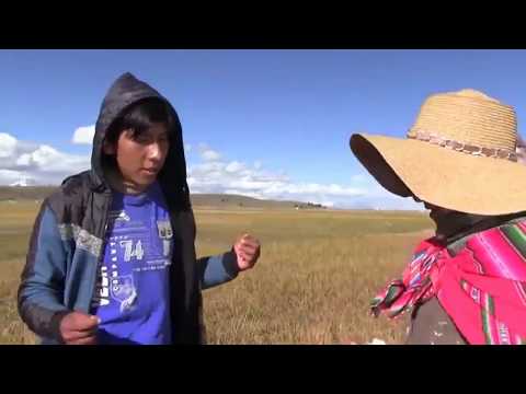 download lagu mp3 mp4 Amor En Aymara, download lagu Amor En Aymara gratis, unduh video klip Amor En Aymara