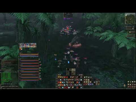 L2Dex new x25 – Daily PvP 2025 | Deathsentence vs Focus