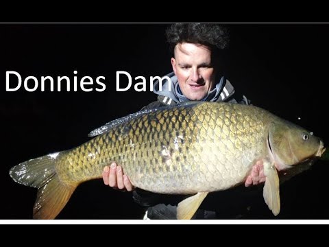 Carp Kings at Donaldson Dam (1 Night) 10Kg