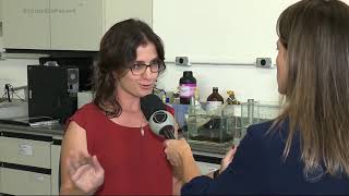Miniatura do vídeo