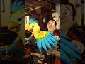 Ararinha No Trem Da Aventura Música Infantil Animada E Divertida