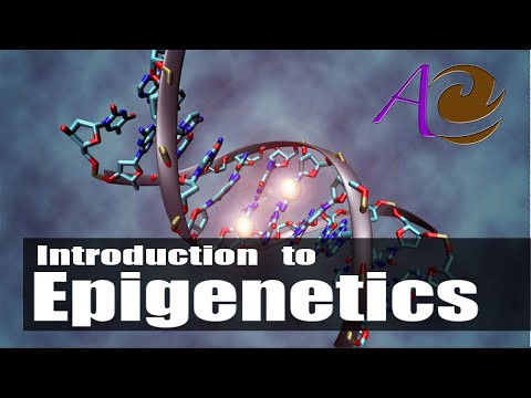Introduction to Epigenetics