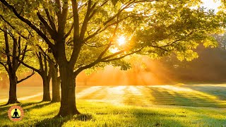 8 Hours of Relaxing Music with Peaceful Forest Sounds: Study Focus Music, Meditation Music | Healing