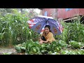 Heavy Rain In My Village I Harvest Cabbage To Make Hot Soup Cooking With Sreypov