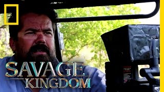 מותו של גור נמר (מאחורי הקלעים) | ממלכת הפראים