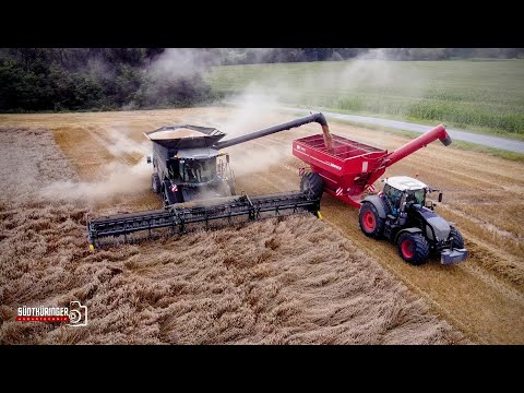 Weizenernte | Fendt Ideal 9T +Geringhoff Schneidwerk | Fendt 939 Black Beauty +Horsch Überladewagen