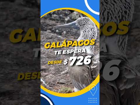 Galápagos, el viaje perfecto para ti. #Shorts