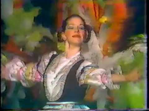 1979 Charles Ray Fancy Brigade "Holiday In Holland" - 16th Place