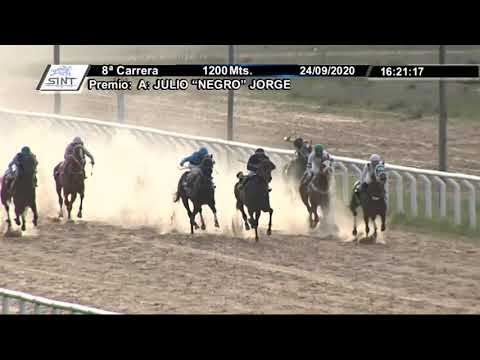 200924 c08 - HEREDERO PICK 1º - SINT MELO