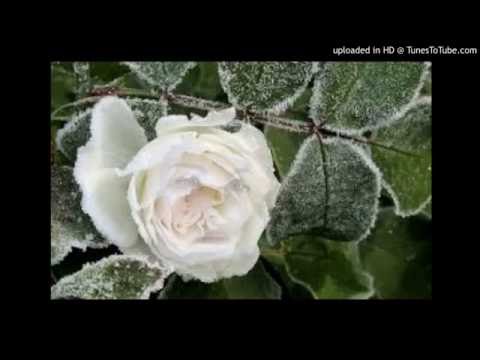 Today's Tango Is... Flor Otoñal - Juan Maglio 'Pacho' 08-05-1930