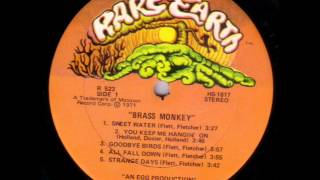 Brass Monkey   1971 LP   Brass Monkey
